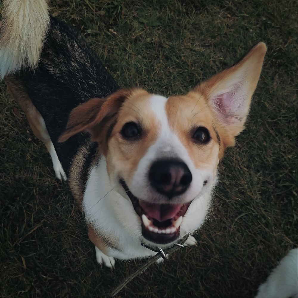 Photograph by Наталья Муравейко