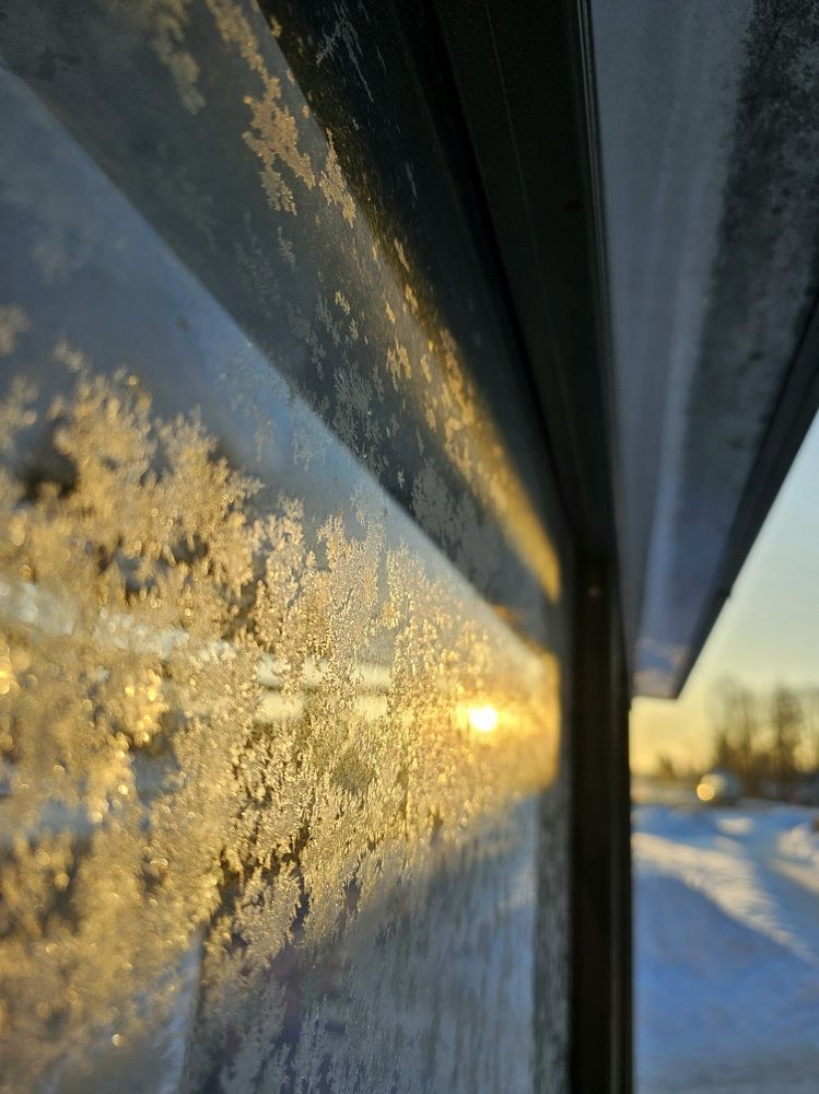 Photograph by Elena N.