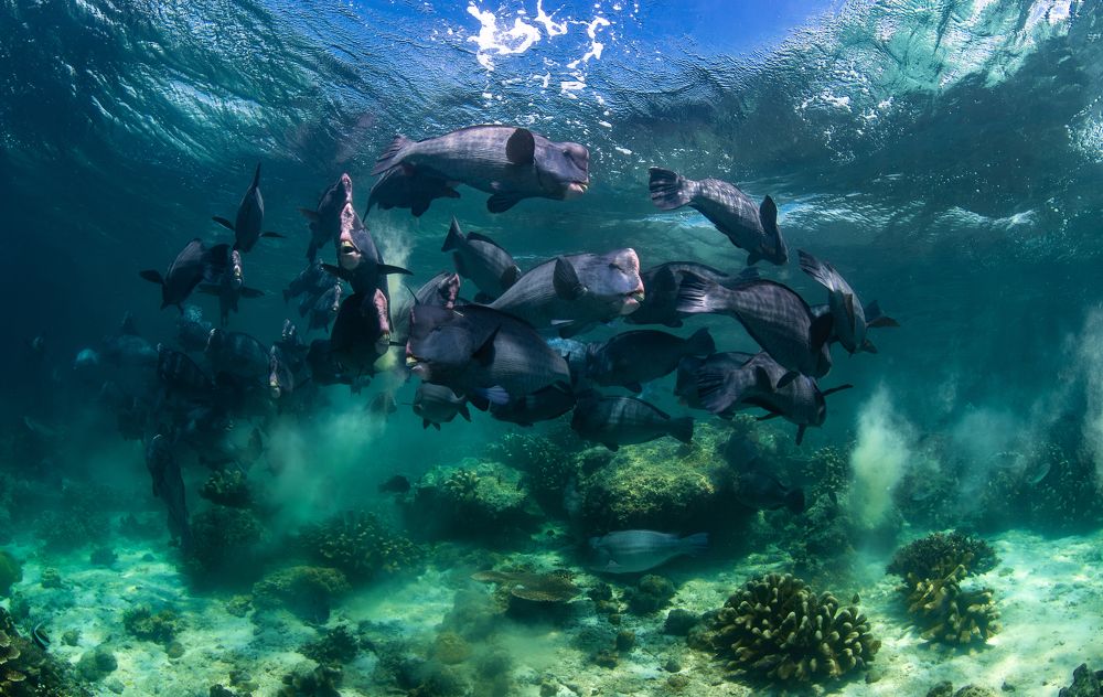 Photograph by Carlos Eduardo Barreto Pinheiro