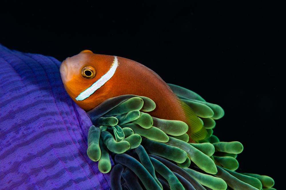 Photograph by Carlos Eduardo Barreto Pinheiro