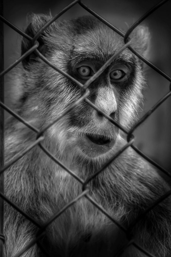 Photograph by Obada Abdelwahab Abdalla