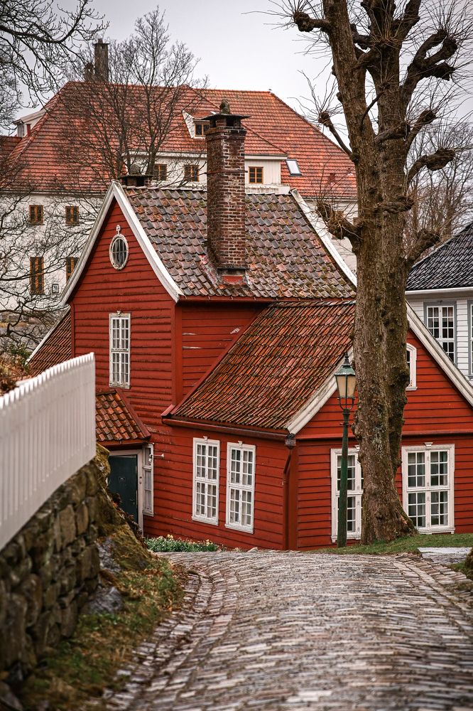 Photograph by Ольга Кудина