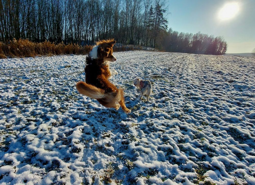 Photograph by Александра Васильева