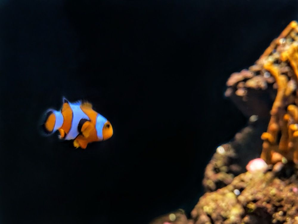 Photograph by Catalina Sirbu