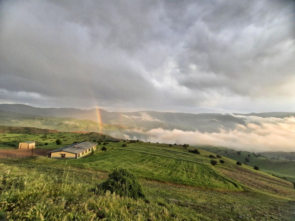 Photograph by Masoumeh Rahimi