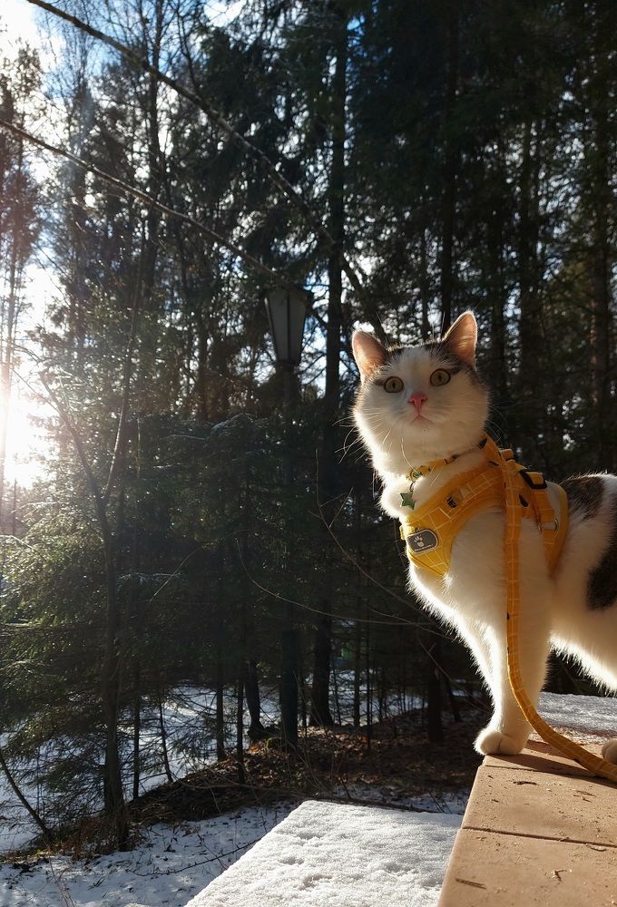 Photograph by Александра Васильева