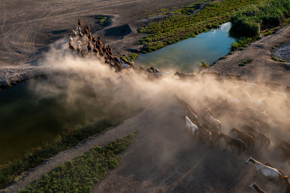 Photograph by SERKAN DOGUS