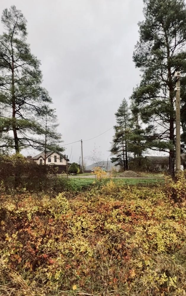 Photograph by Елена Громова