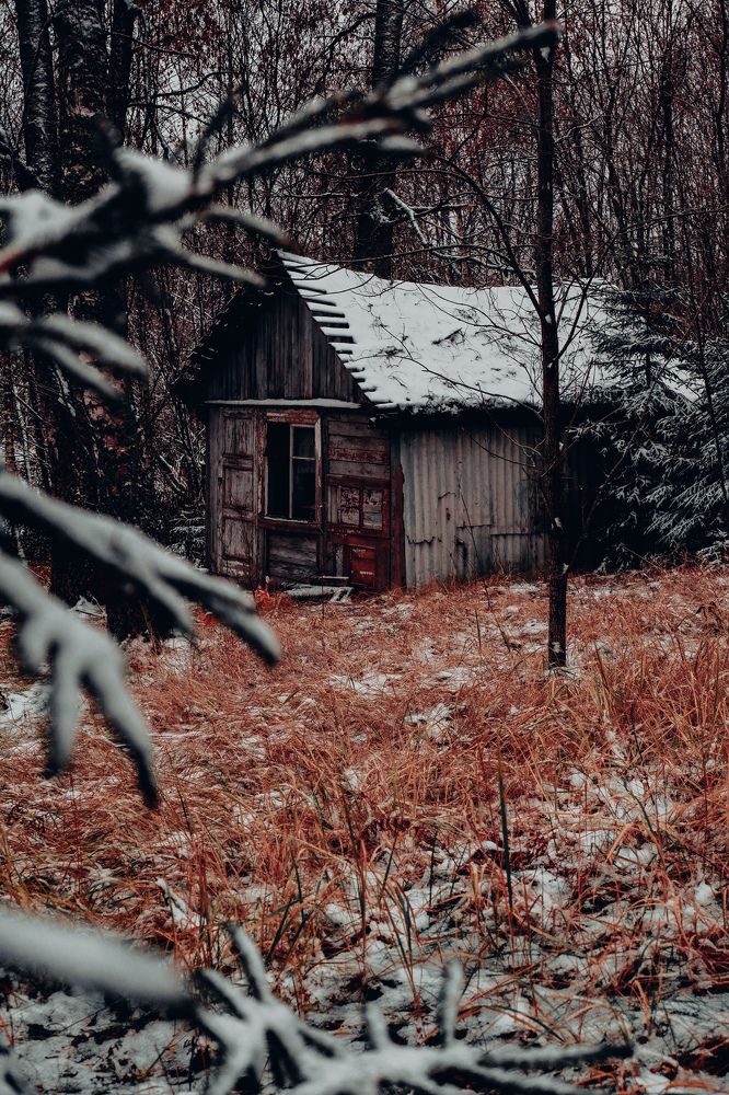 Фотография автора Медведева Елена