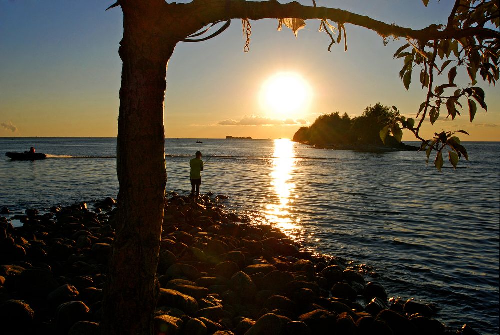 Фотография автора Анна Гаврилова