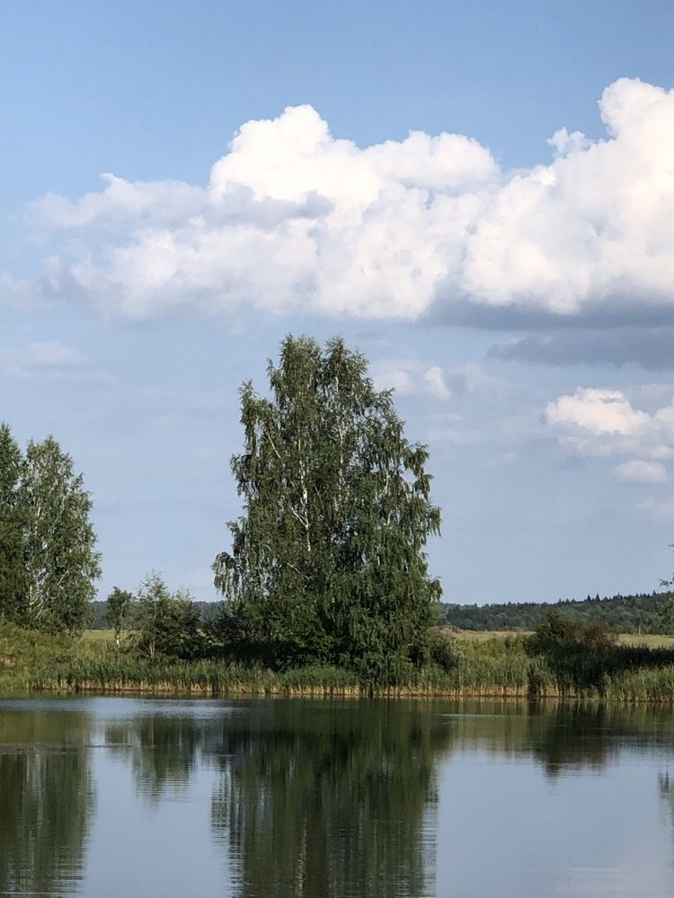 Photograph by Катерина