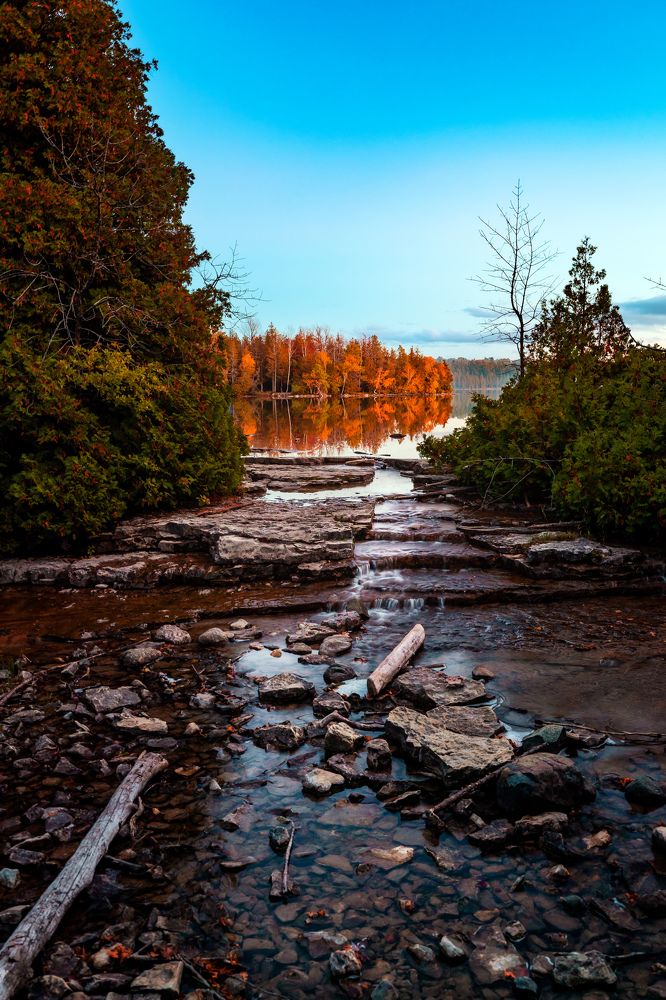 Отражение осени