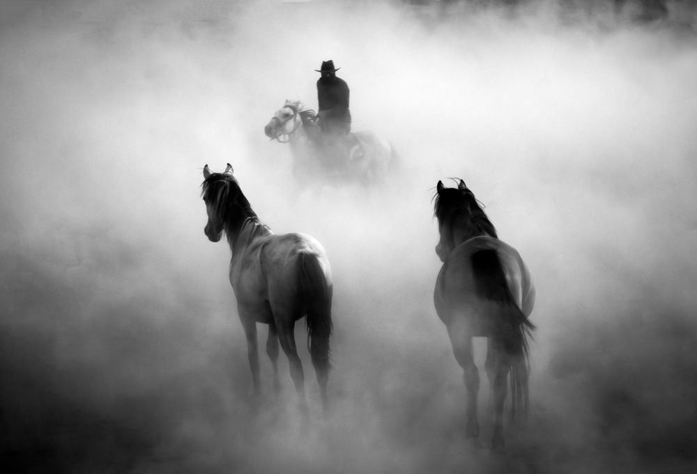 Фотография автора Gilcan Mete Delibay