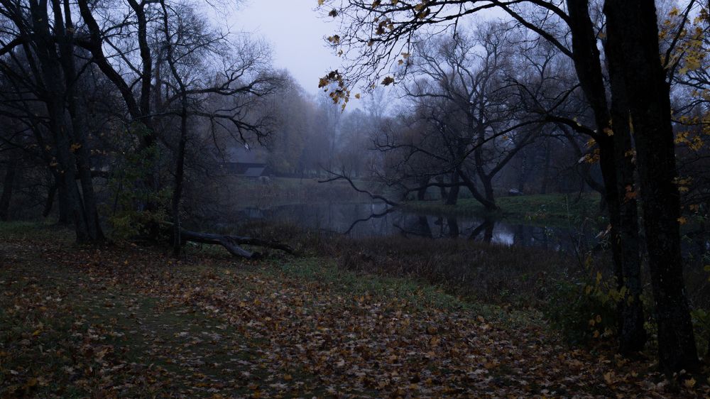 Фотография автора Андрей Врубель
