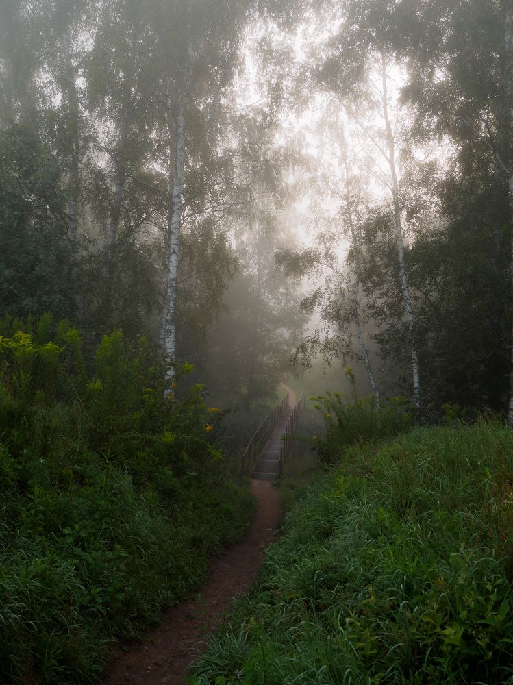 Фотография автора Андрей Врубель