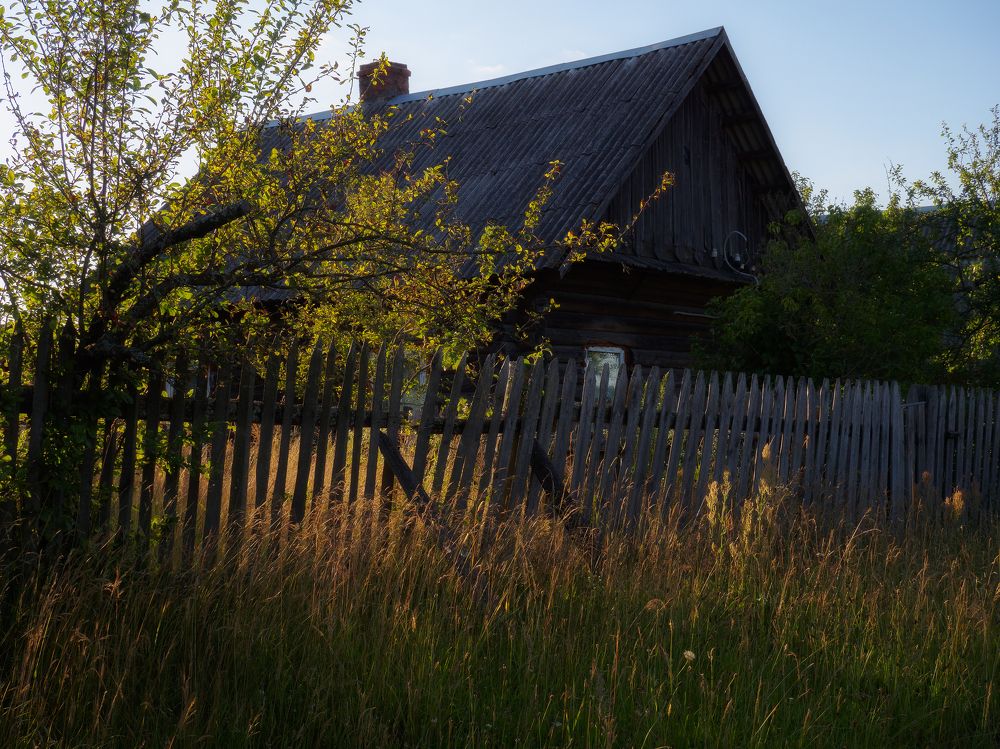 Фотография автора Андрей Врубель