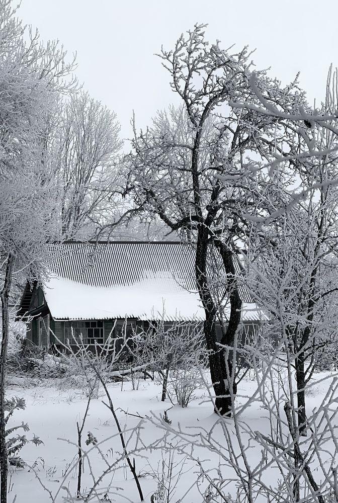 Photograph by Shu R1ck