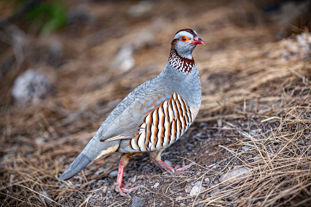 Photograph by Jose Luis Mendez Fernandez