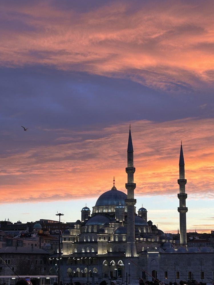 Фотография автора Gulsima