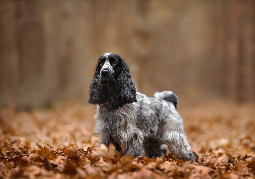 Photograph by Monika Maciejewska