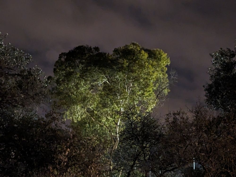 The Heart of Lisboa at night