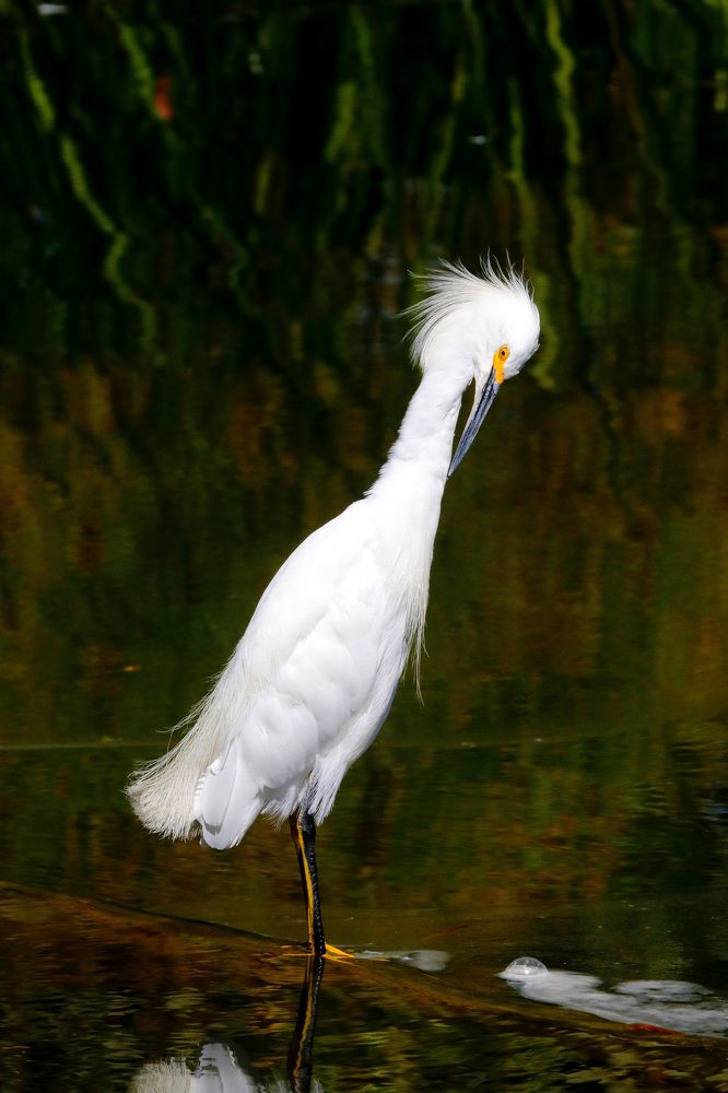 Photograph by Ricardo Vergara