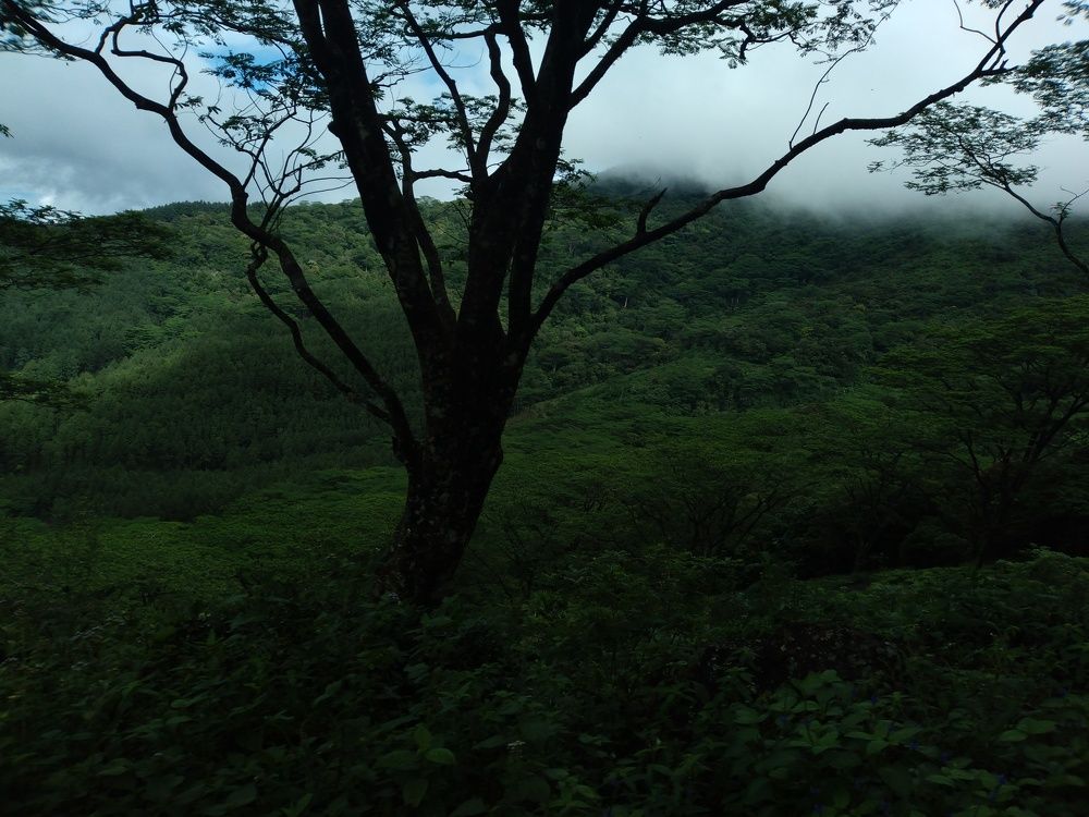 Photo #10292544