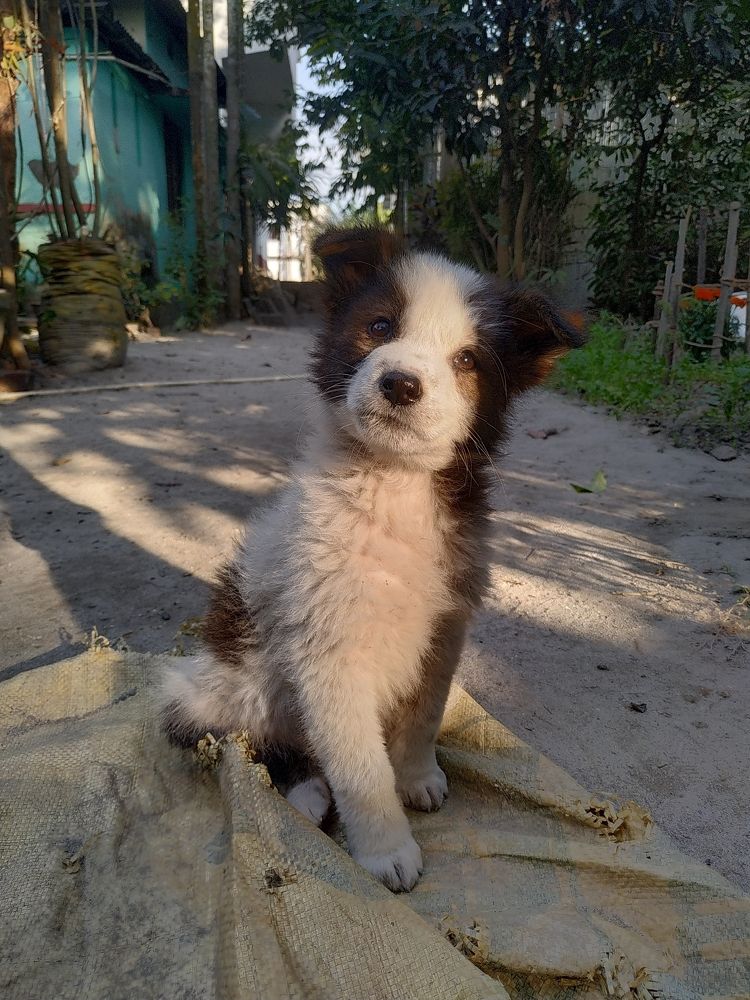 Melty trying to melt every human with his eyes