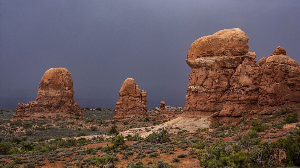 весна в пустыне