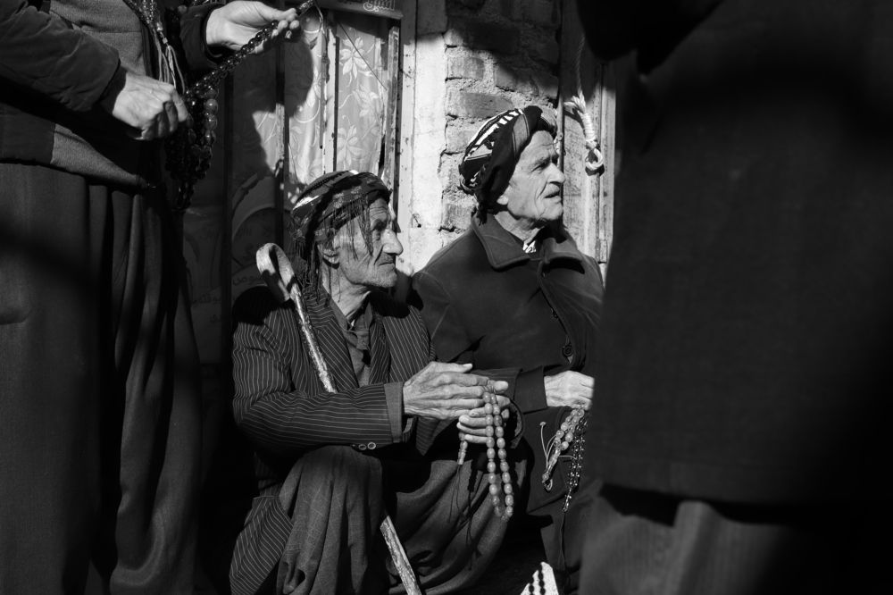 Photograph by pooya hajirahimi