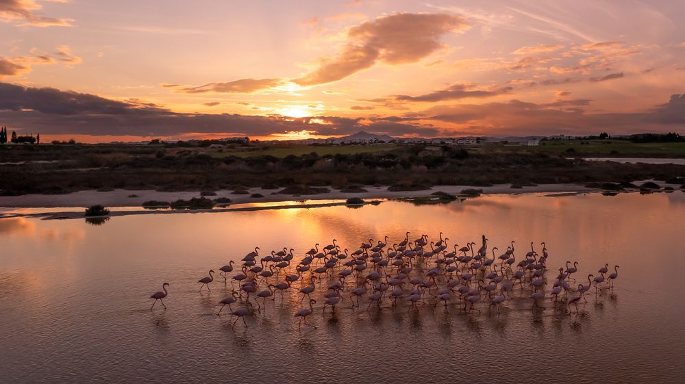 Photograph by Виктория Кузнецова