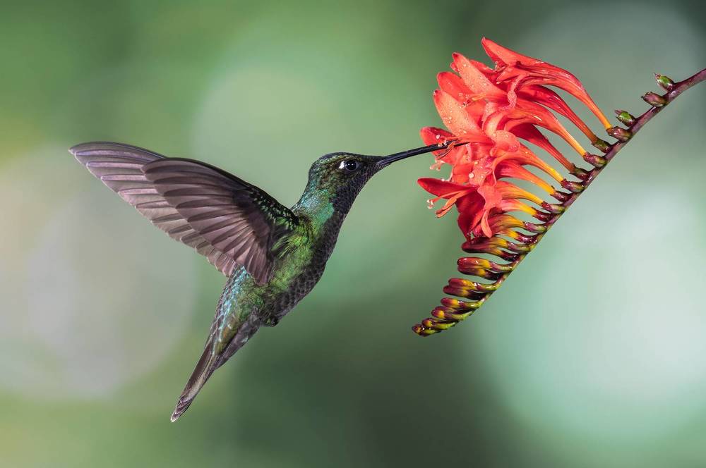 Фотография автора Parth Shiras