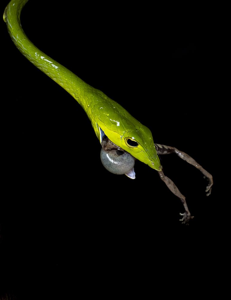 Photograph by Shajin