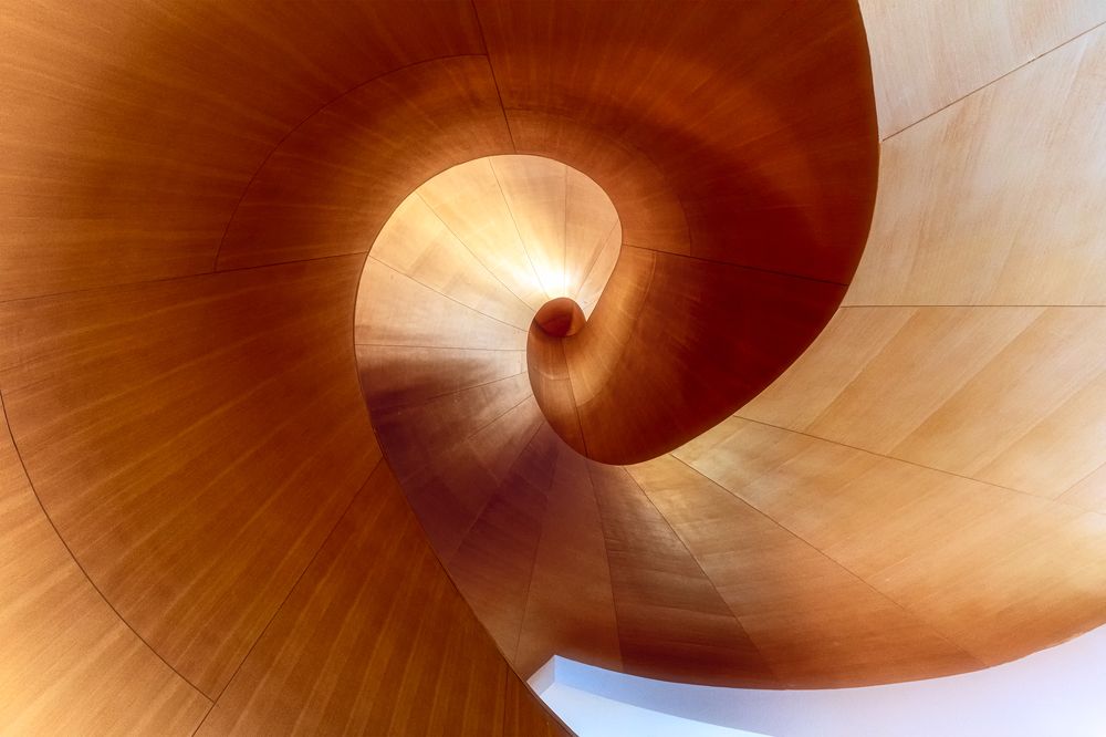 Photograph by Zhenhuan Zhou