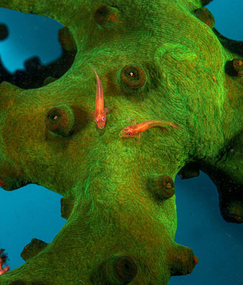 Photograph by Савин Андрей