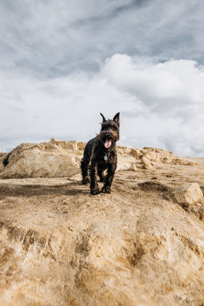 Photograph by Евгения Наумова