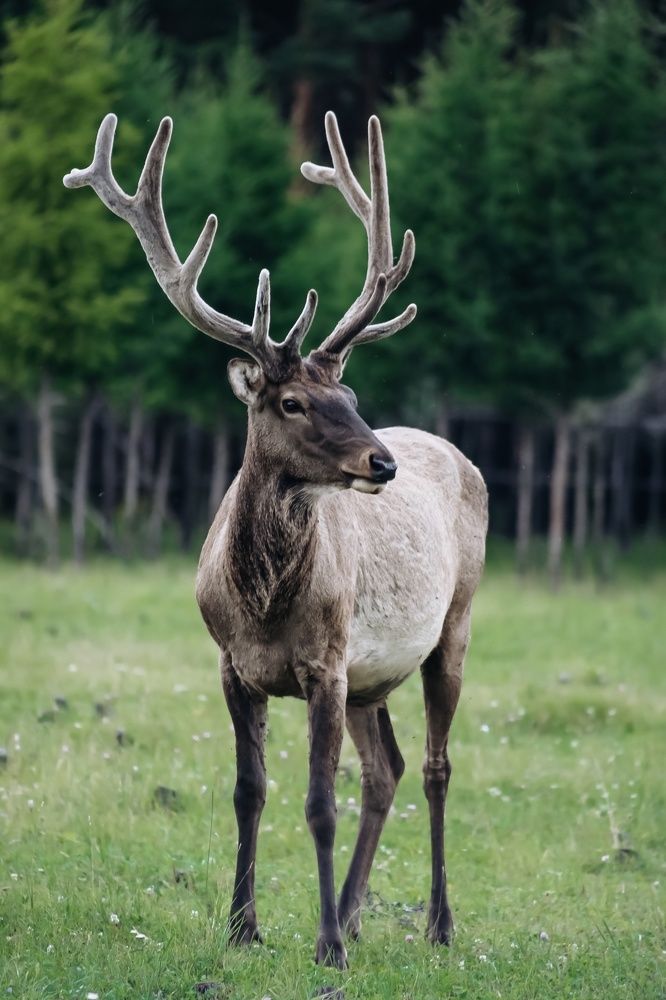 Photograph by Евгения Наумова