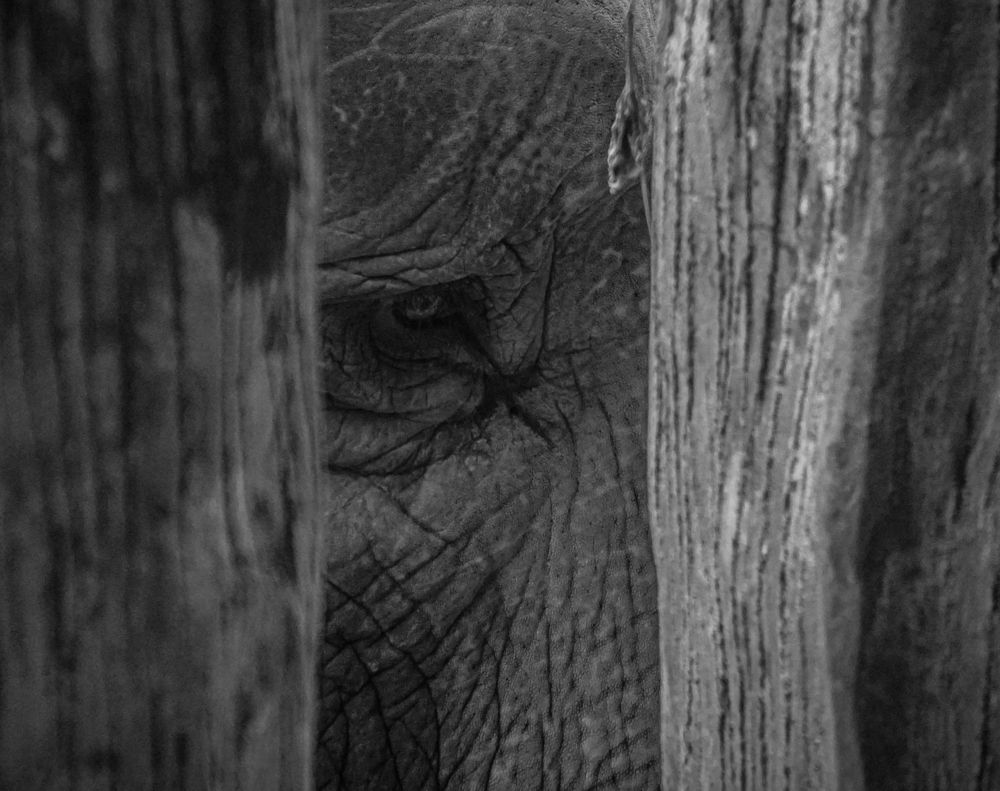 Photograph by Kanesen Haeswani