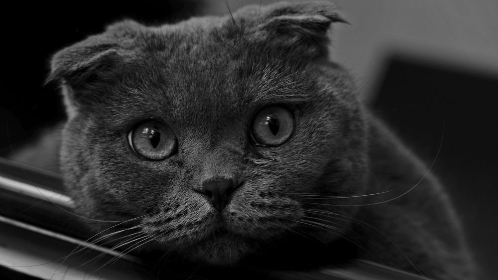 Photograph by Яна Истоцкая