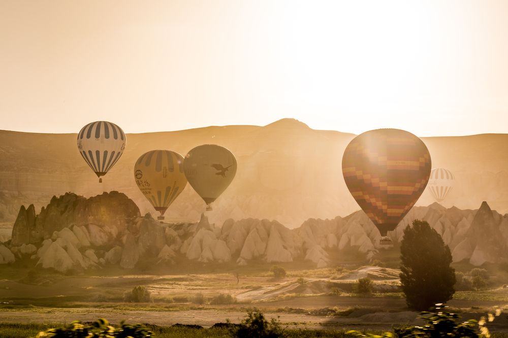 Photograph by Юлия Подлеснова