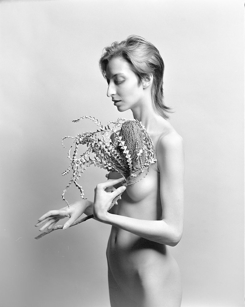 Photograph by Михаил Шестаков