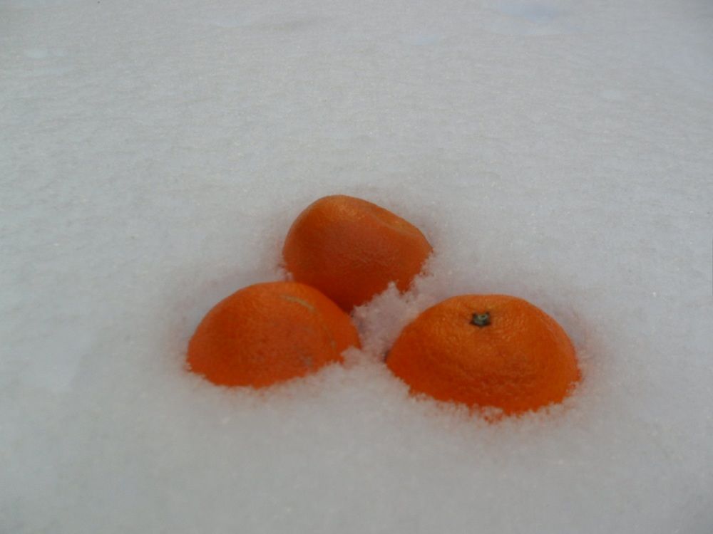 Photograph by Оксана Подъельская