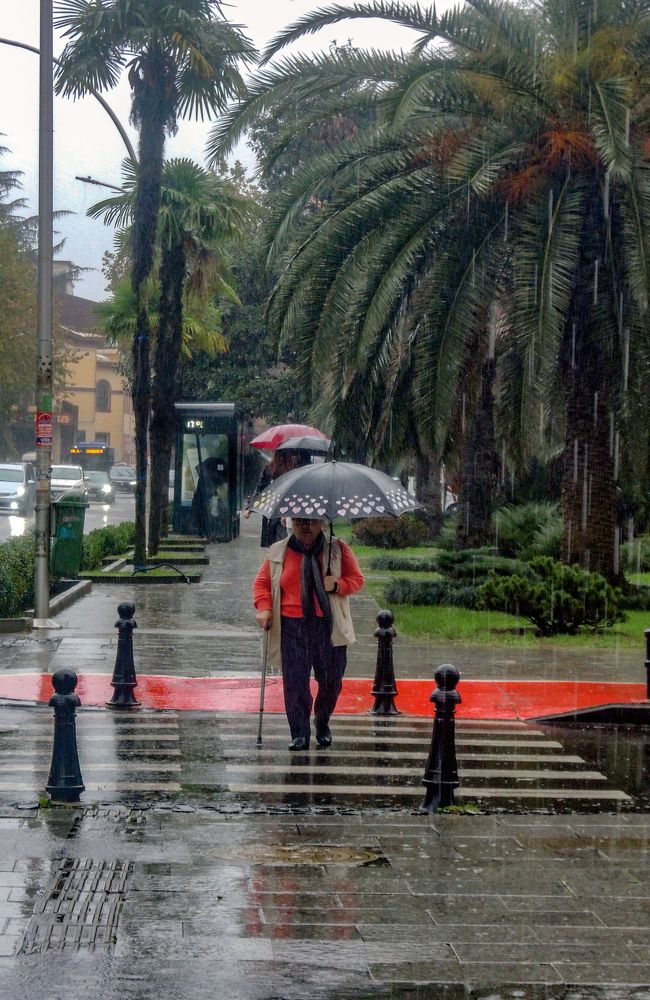 Photograph by владимир хухунаишвили