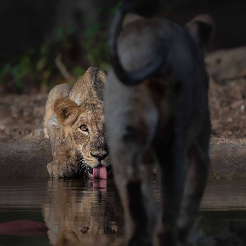 Photograph by mayur kalab