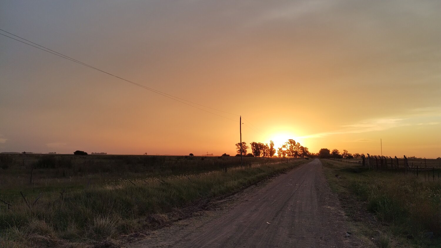 Photo #10293198