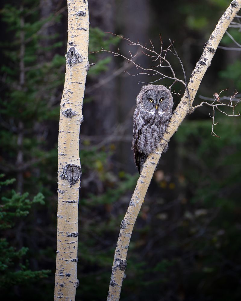 Фотография автора Karthik Subramaniam