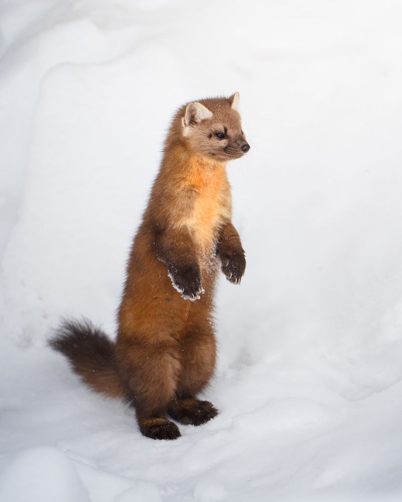 Фотография автора Karthik Subramaniam