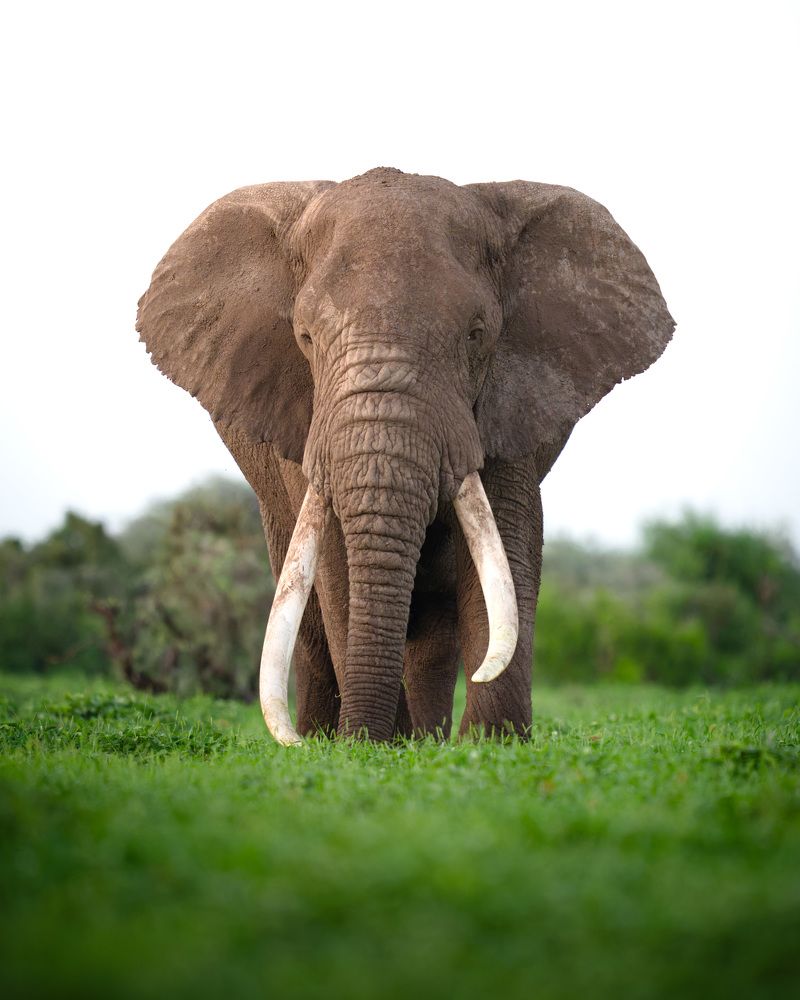 Фотография автора Karthik Subramaniam