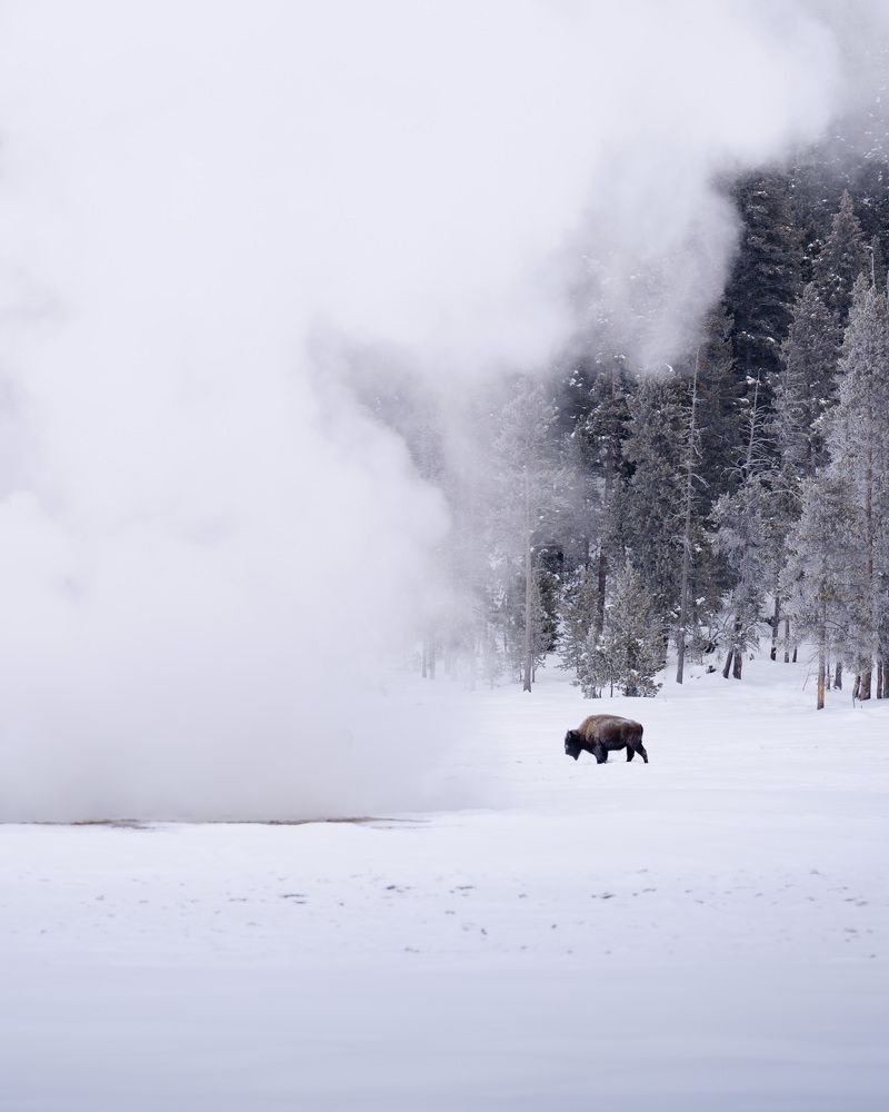 Фотография автора Karthik Subramaniam