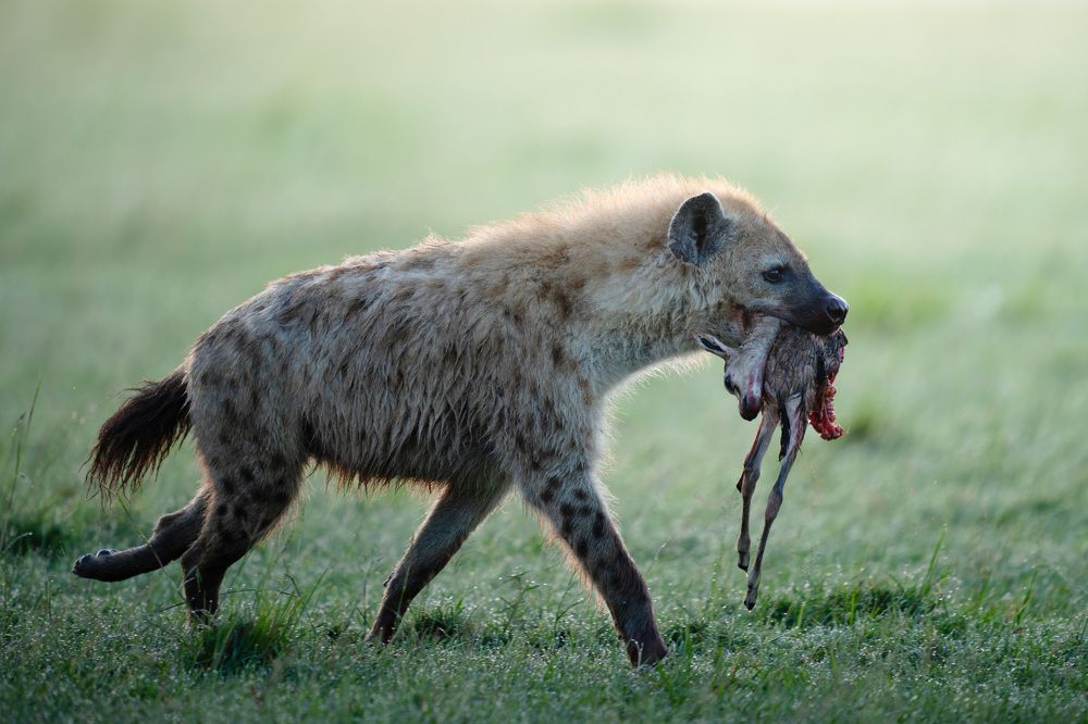 Фотография автора Karthik Subramaniam